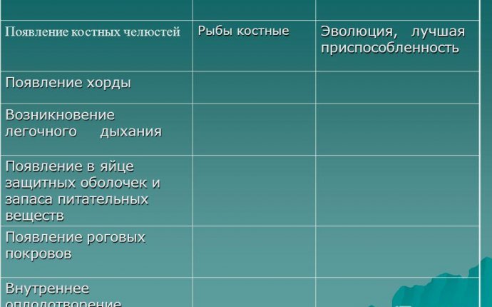 Презентация на тему: Ароморфозы в растительном, животном мире в